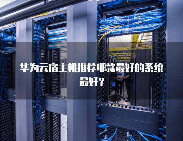 华为云宿主机推荐哪款最好的系统最好?