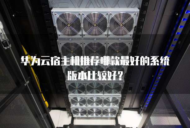华为云宿主机推荐哪款最好的系统版本比较好？