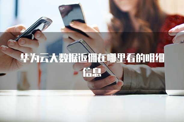 华为云大数据返佣在哪里看的明细信息