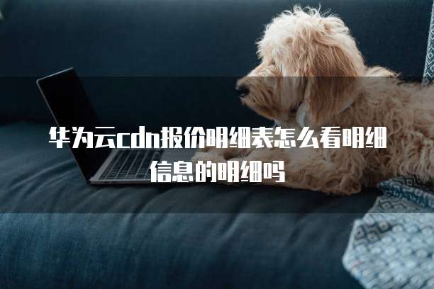 华为云cdn报价明细表怎么看明细信息的明细吗