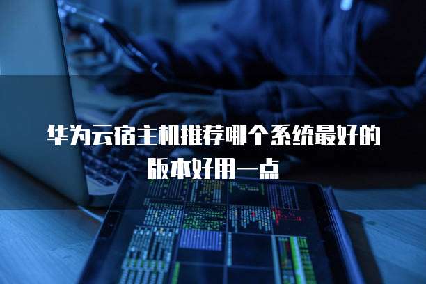 华为云宿主机推荐哪个系统最好的版本好用一点