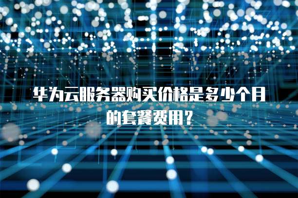 华为云服务器购买价格是多少个月的套餐费用?