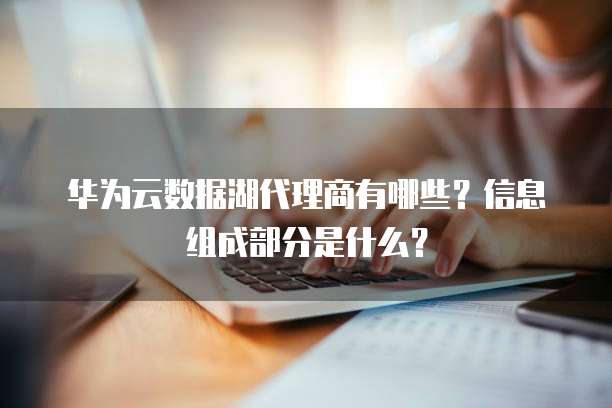 华为云数据湖代理商有哪些?信息组成部分是什么?
