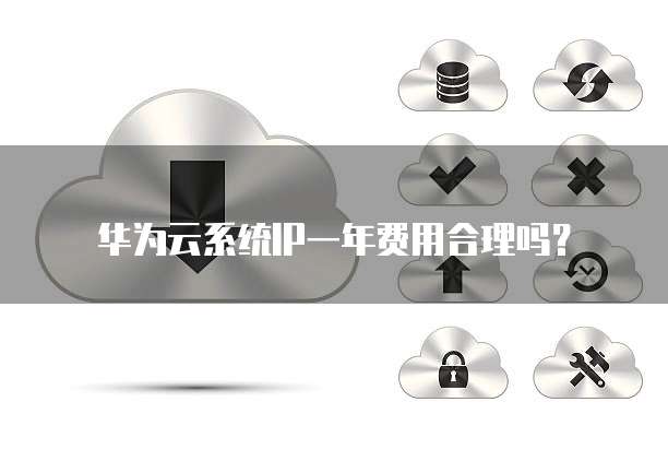 华为云系统IP一年费用合理吗?