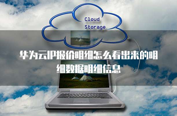 华为云IP报价明细怎么看出来的明细数据明细信息