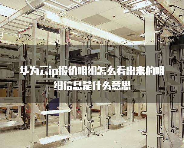 华为云ip报价明细怎么看出来的明细信息是什么意思