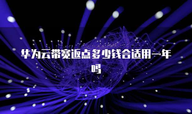 华为云带宽返点多少钱合适用一年吗