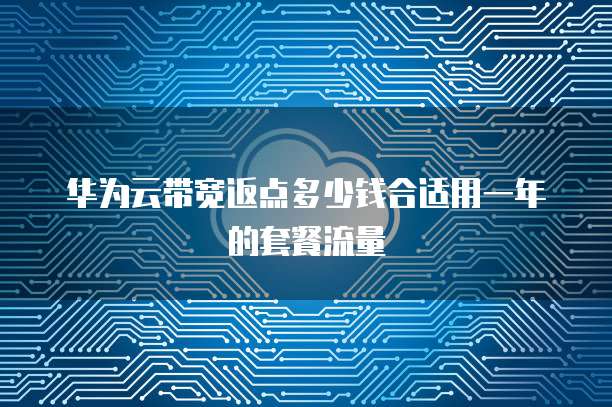 华为云带宽返点多少钱合适用一年的套餐流量