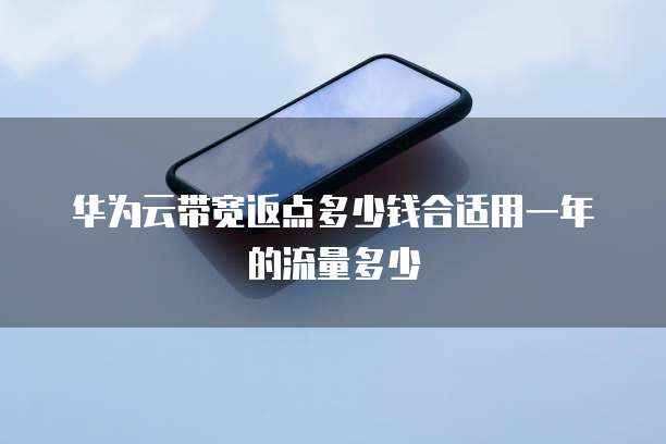 华为云带宽返点多少钱合适用一年的流量多少