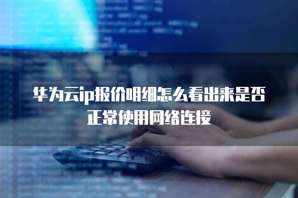 华为云ip报价明细怎么看出来是否正常使用网络连接