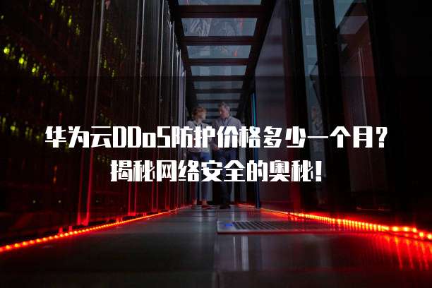 华为云DDoS防护价格多少一个月?揭秘网络安全的奥秘!