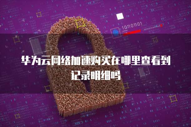 华为云网络加速购买在哪里查看到记录明细吗