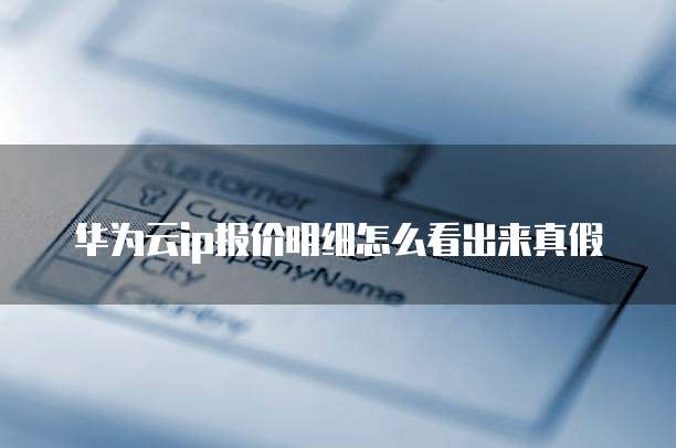华为云ip报价明细怎么看出来真假