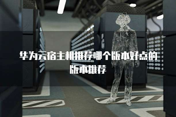 华为云宿主机推荐哪个版本好点的版本推荐