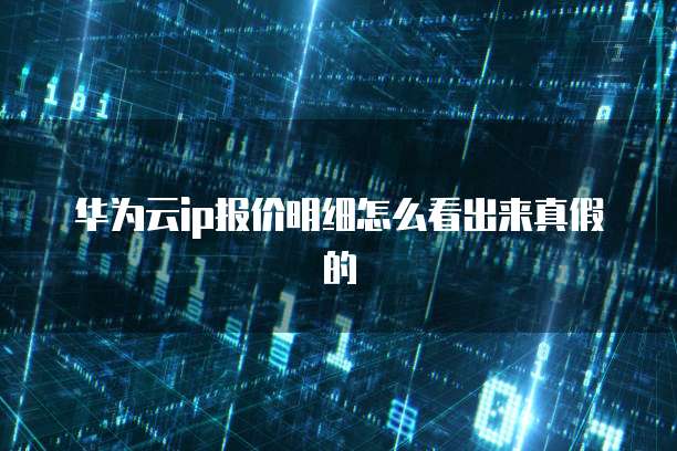 华为云ip报价明细怎么看出来真假的