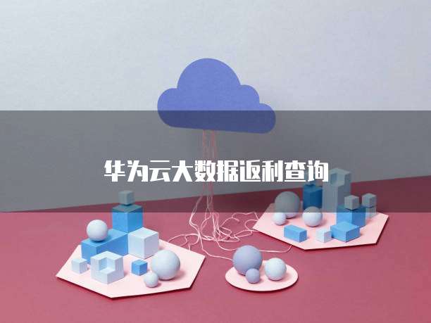 华为云大数据返利查询