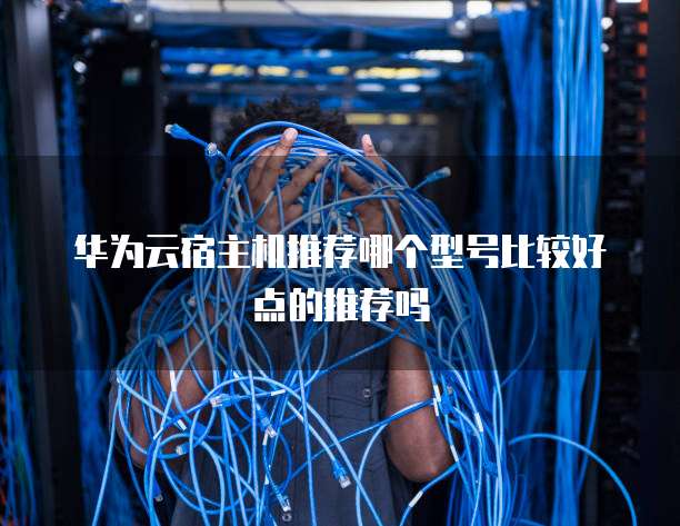 华为云宿主机推荐哪个型号比较好点的推荐吗