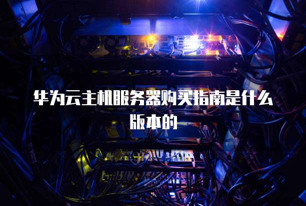 华为云主机服务器购买指南是什么版本的