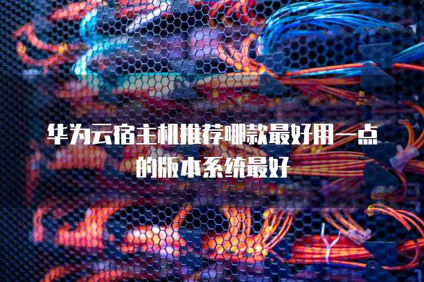 华为云宿主机推荐哪款最好用一点的版本系统最好