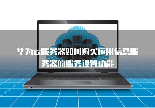 华为云服务器如何购买应用信息服务器的服务设置功能