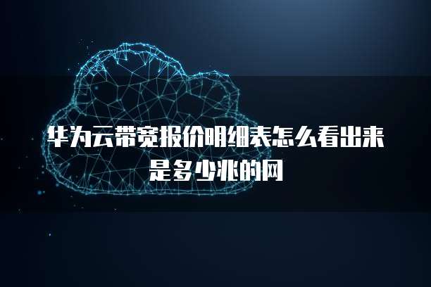 华为云带宽报价明细表怎么看出来是多少兆的网