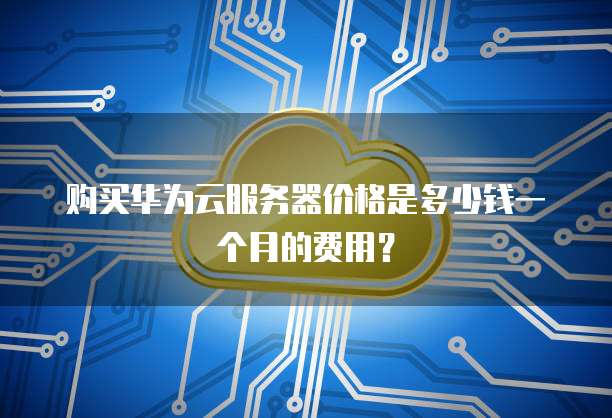 购买华为云服务器价格是多少钱一个月的费用?
