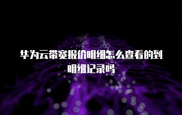 华为云带宽报价明细怎么查看的到明细记录吗