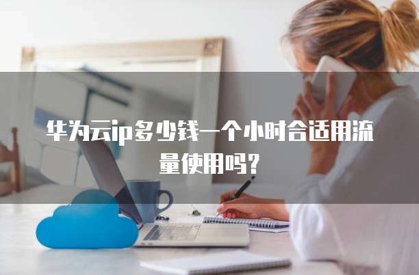 华为云ip多少钱一个小时合适用流量使用吗?