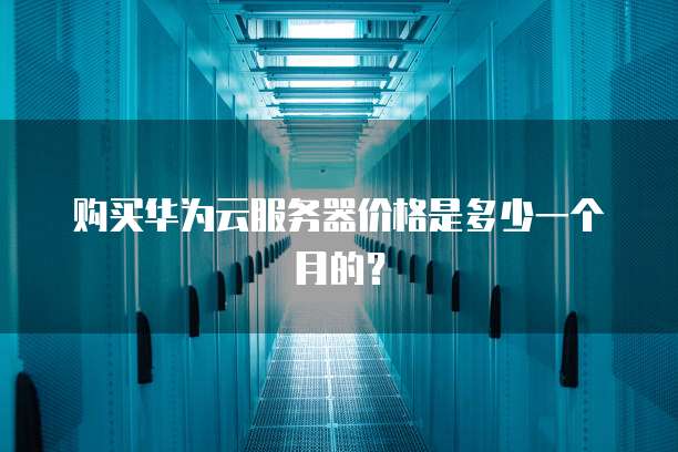 购买华为云服务器价格是多少一个月的?