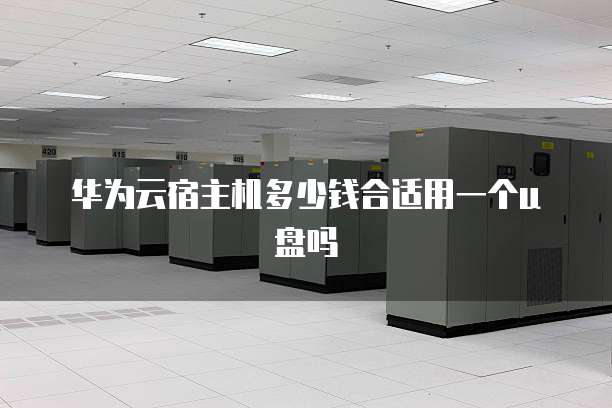 华为云宿主机多少钱合适用一个u盘吗