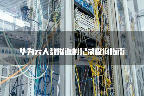 华为云大数据返利记录查询指南
