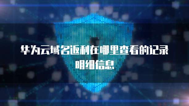 华为云域名返利在哪里查看的记录明细信息
