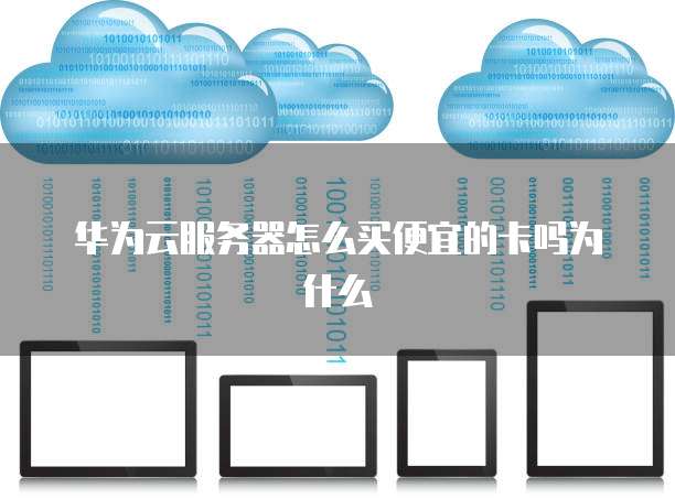 华为云服务器怎么买便宜的卡吗为什么