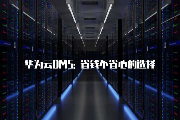 华为云DMS: 省钱不省心的选择