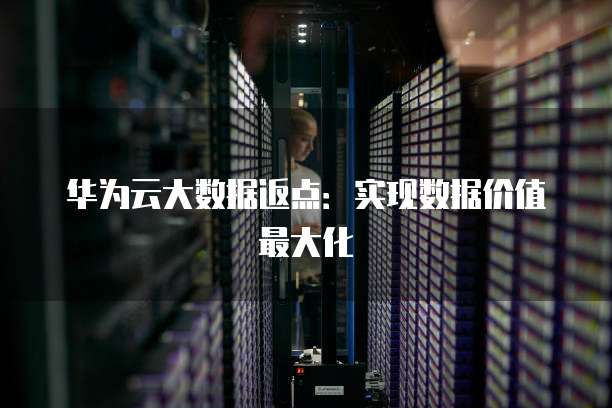 华为云大数据返点：实现数据价值最大化