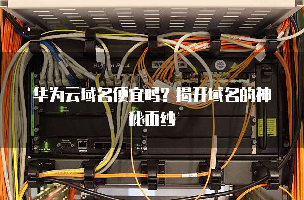 华为云域名便宜吗？揭开域名的神秘面纱
