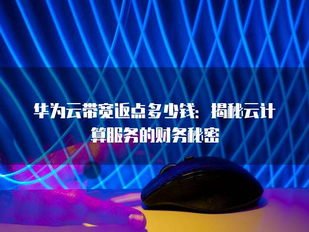 华为云带宽返点多少钱:揭秘云计算服务的财务秘密