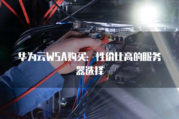 华为云WSA购买:性价比高的服务器选择