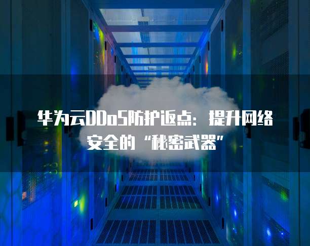 华为云DDoS防护返点:提升网络安全的“秘密武器”