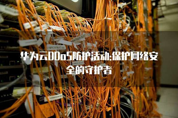 华为云DDoS防护活动:保护网络安全的守护者