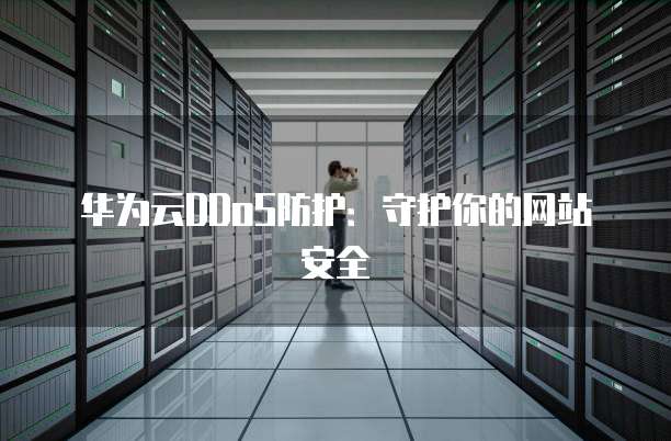 华为云DDoS防护:守护你的网站安全