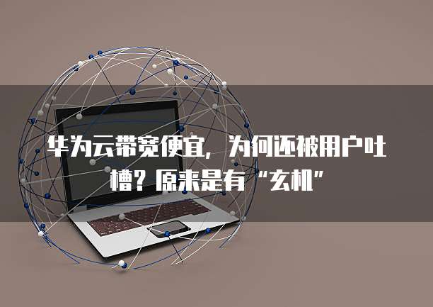 华为云带宽便宜,为何还被用户吐槽?原来是有“玄机”