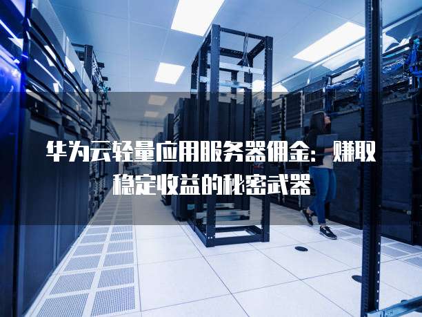 华为云轻量应用服务器佣金:赚取稳定收益的秘密武器