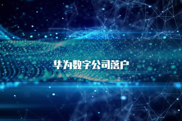 华为云的域名信息在哪里找出来？