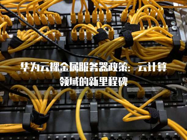 华为云裸金属服务器政策：云计算领域的新里程碑