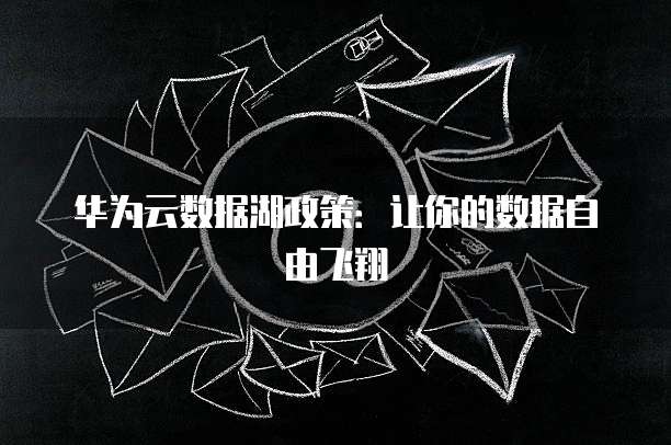 华为云数据湖政策:让你的数据自由飞翔