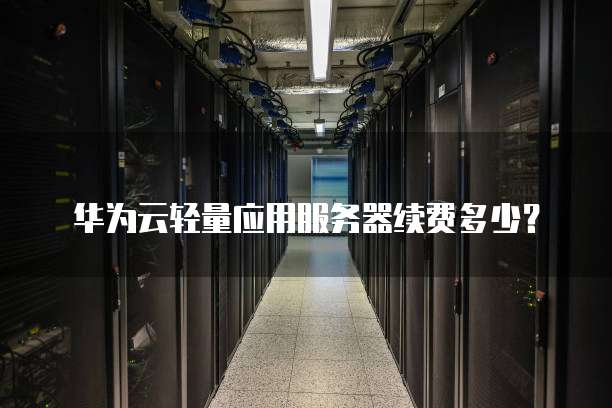 华为云轻量应用服务器续费多少?