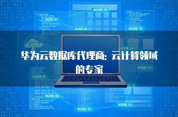 华为云数据库代理商: 云计算领域的专家