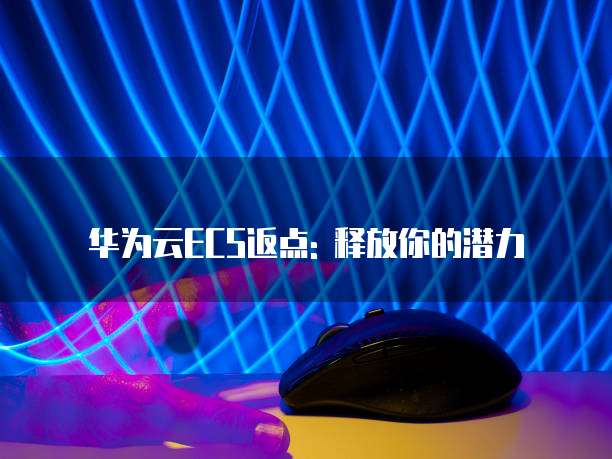 华为云ECS返点: 释放你的潜力