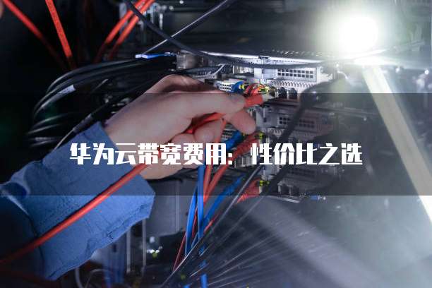 华为云带宽费用：性价比之选